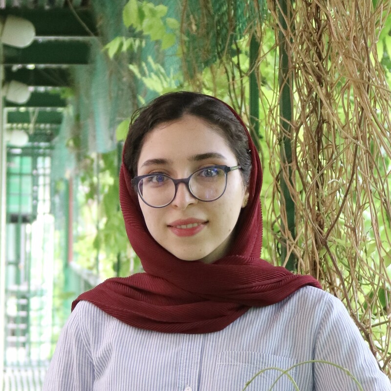 Fatemeh Nadi